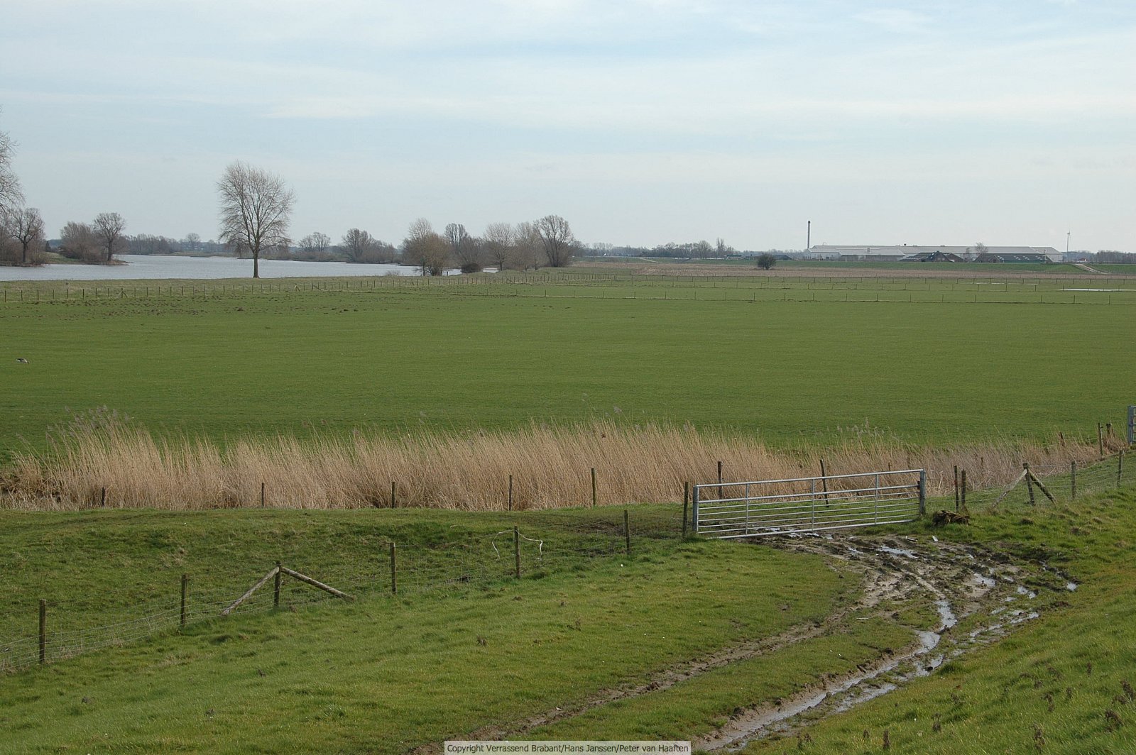Verrassend Brabant