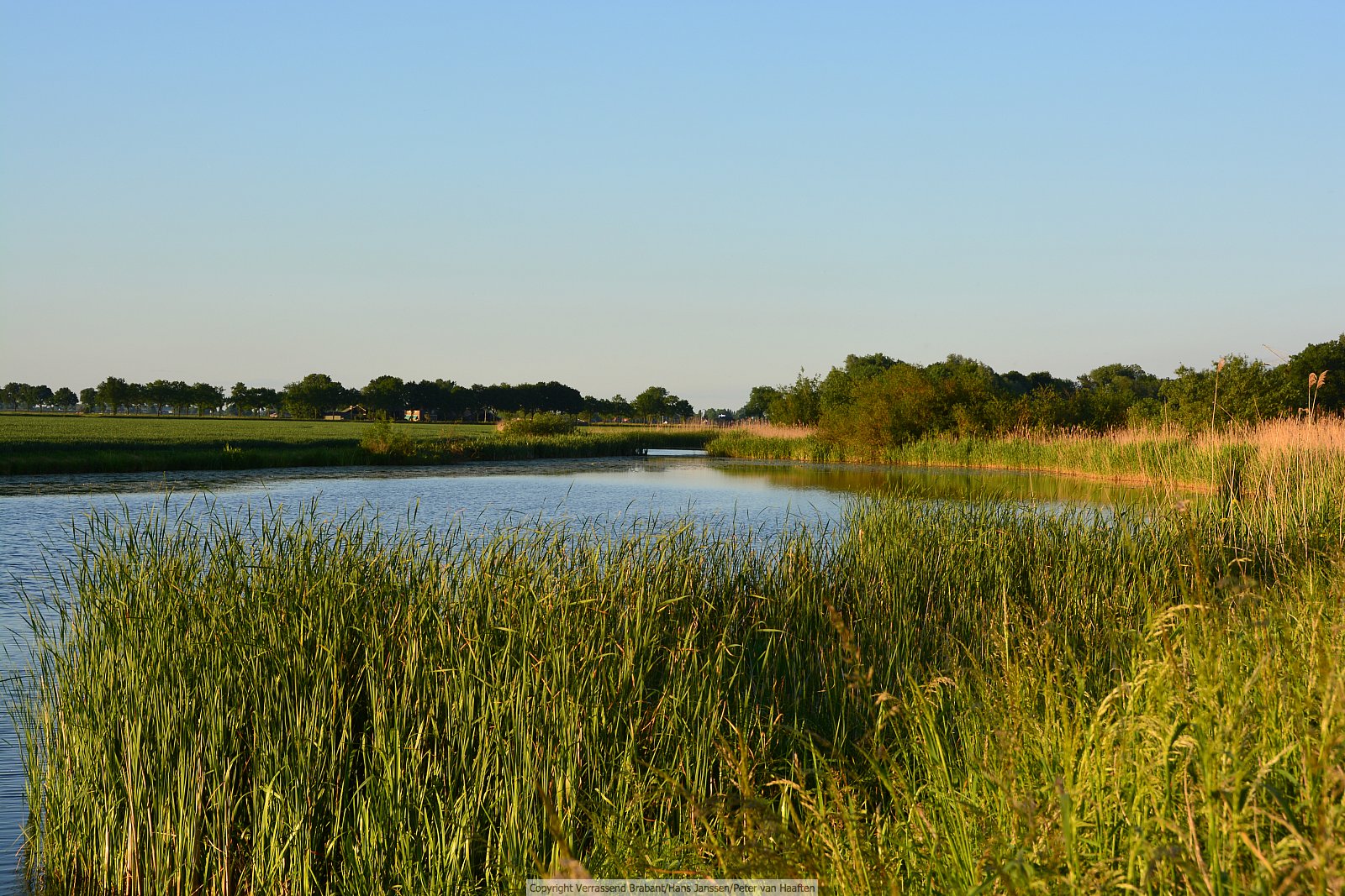 Verrassend Brabant