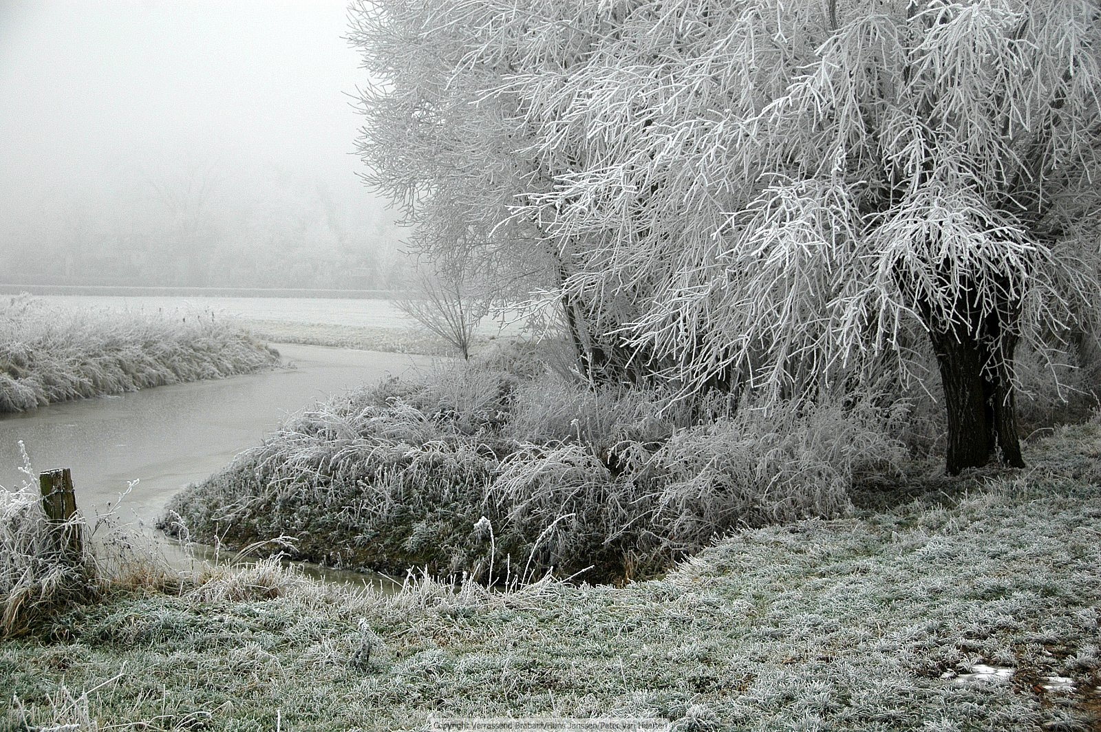 Verrassend Brabant