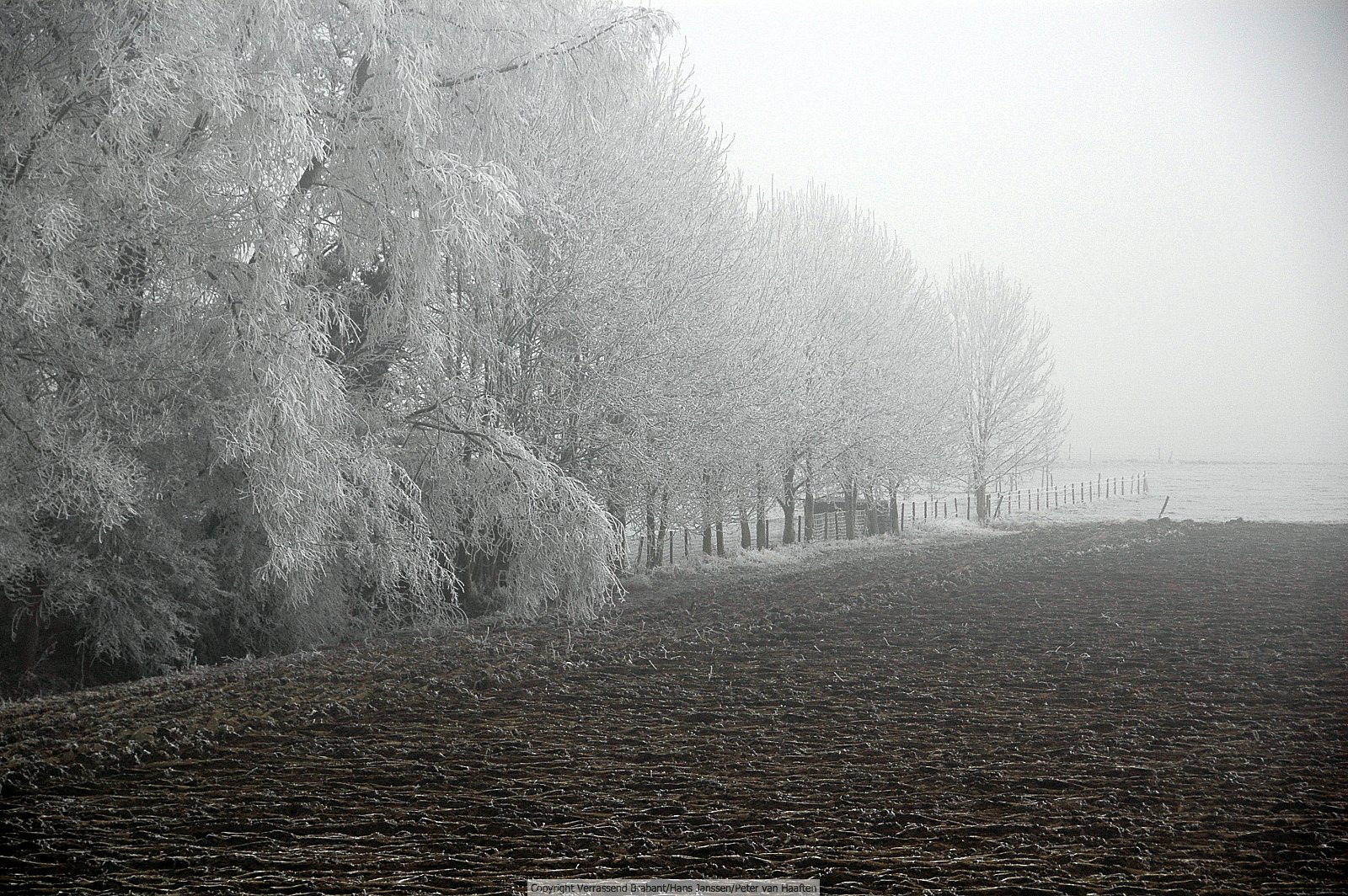 Verrassend Brabant