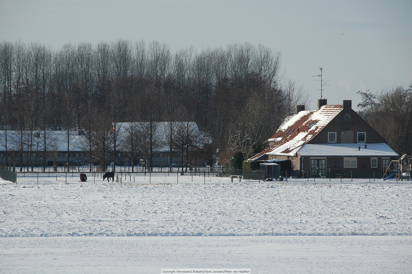 Verrassend Brabant