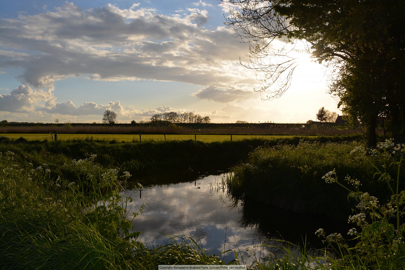Verrassend Brabant