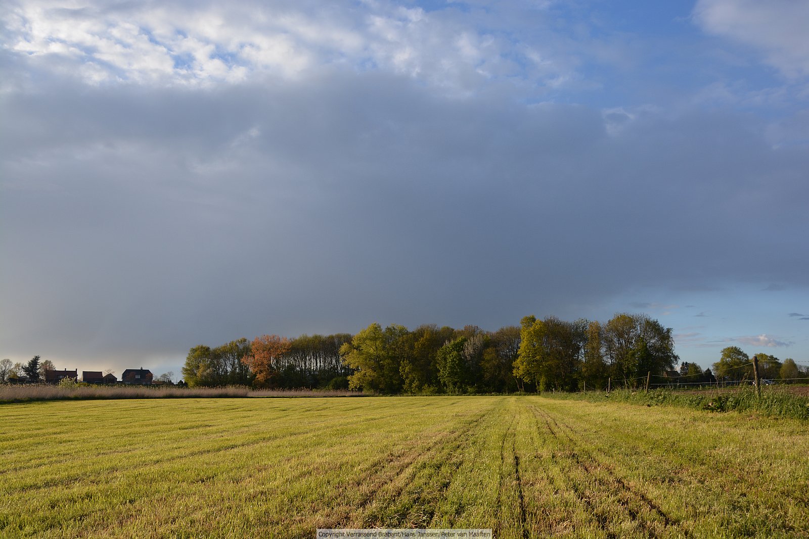 Verrassend Brabant