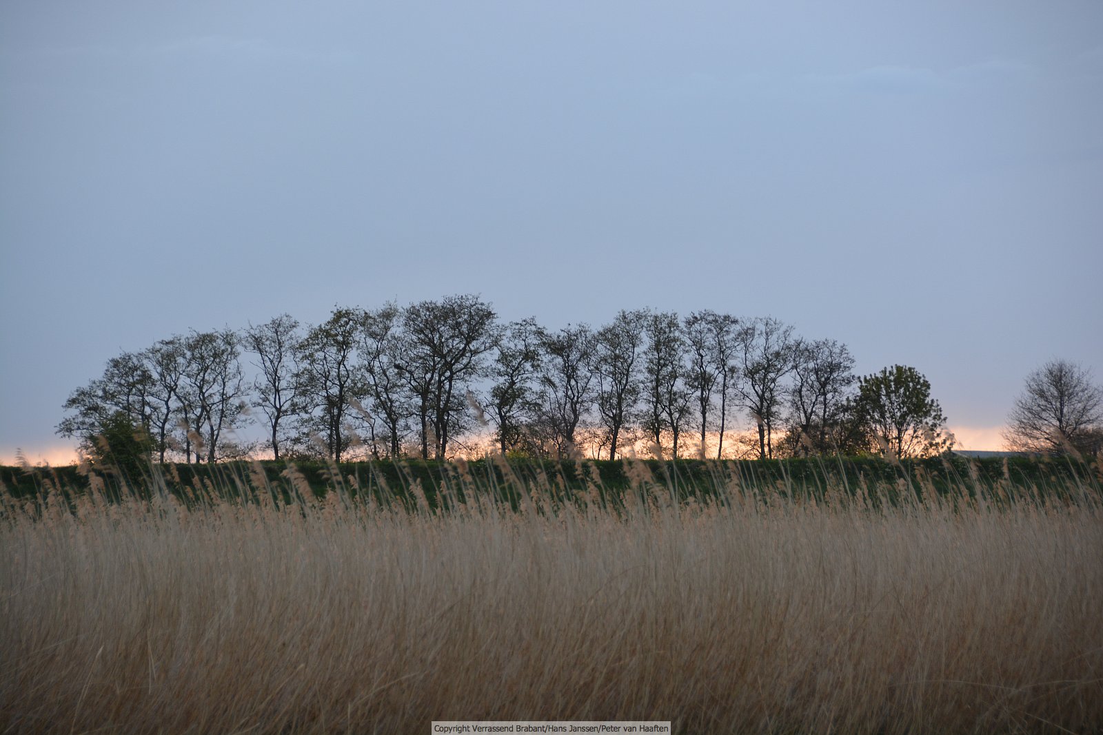 Verrassend Brabant