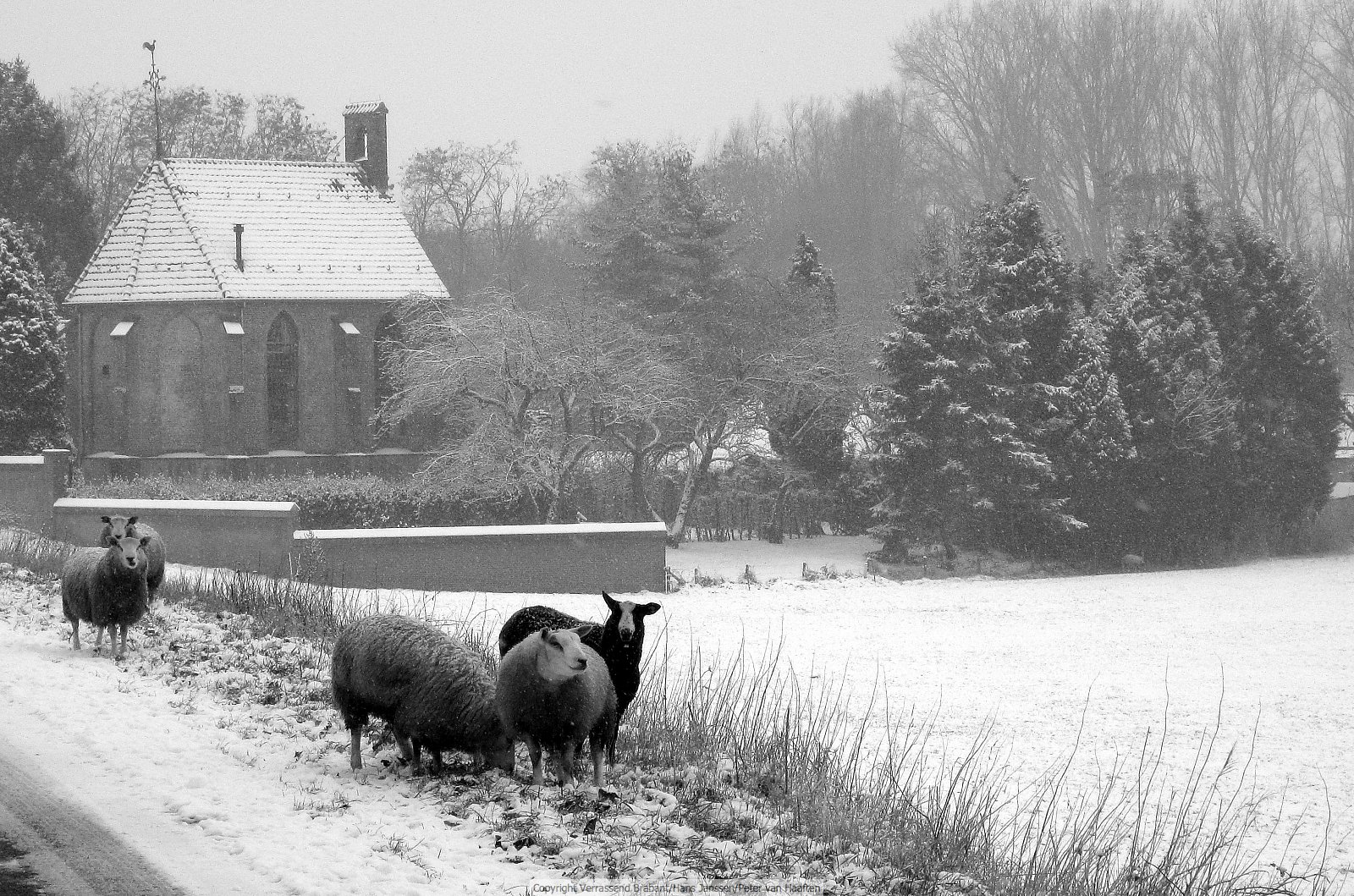 Verrassend Brabant