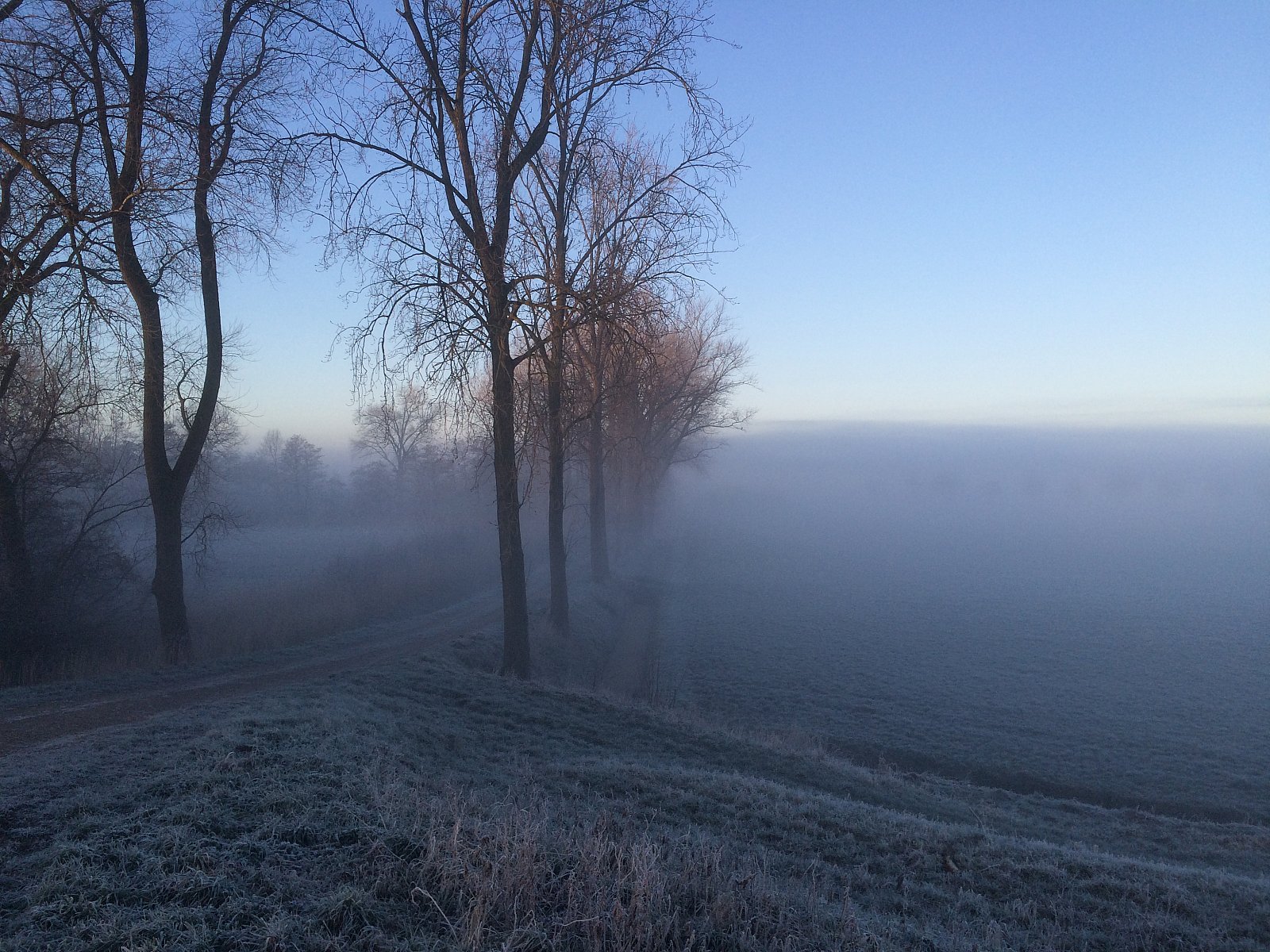 Winterlandschap