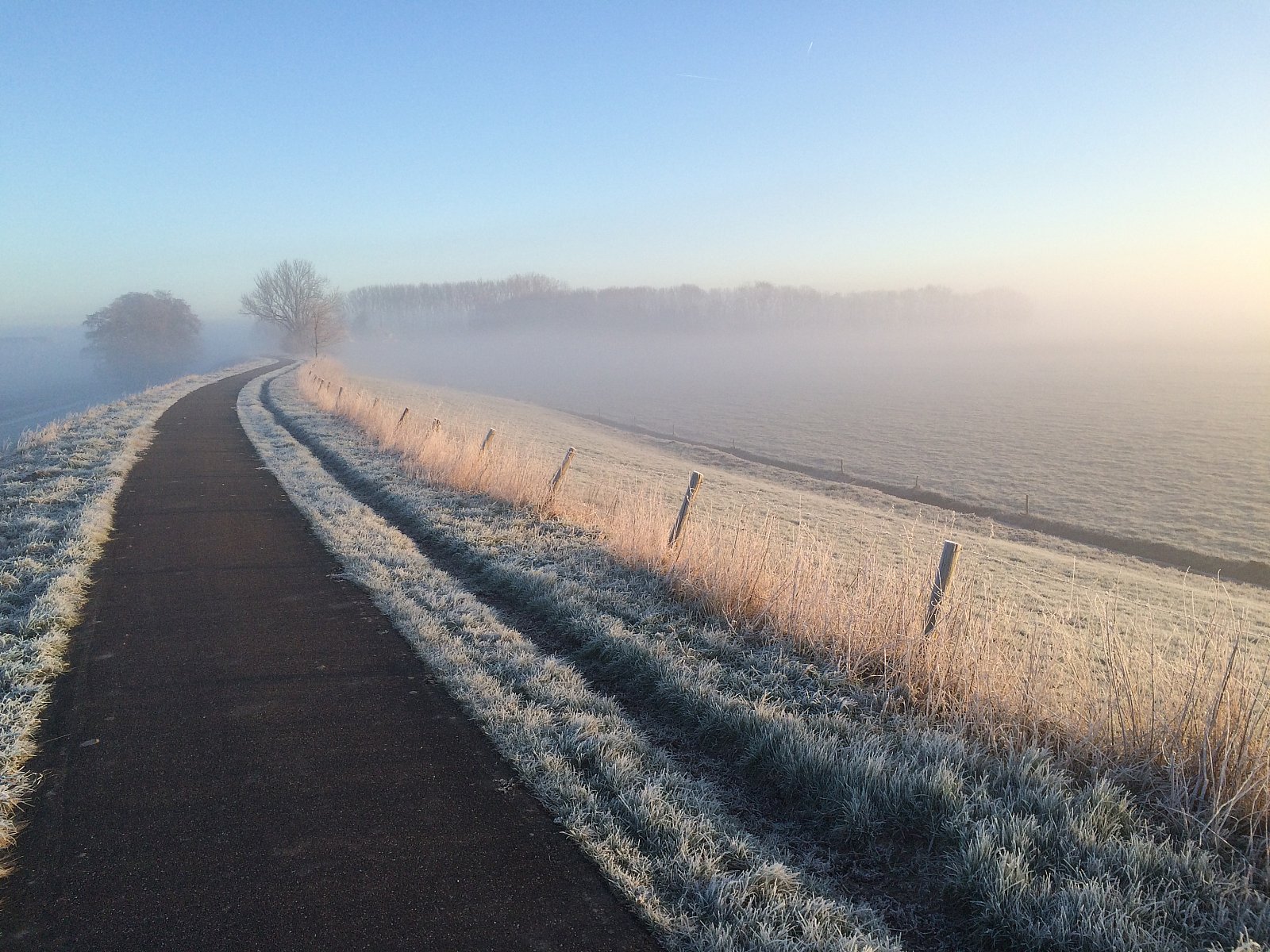 Winterlandschap