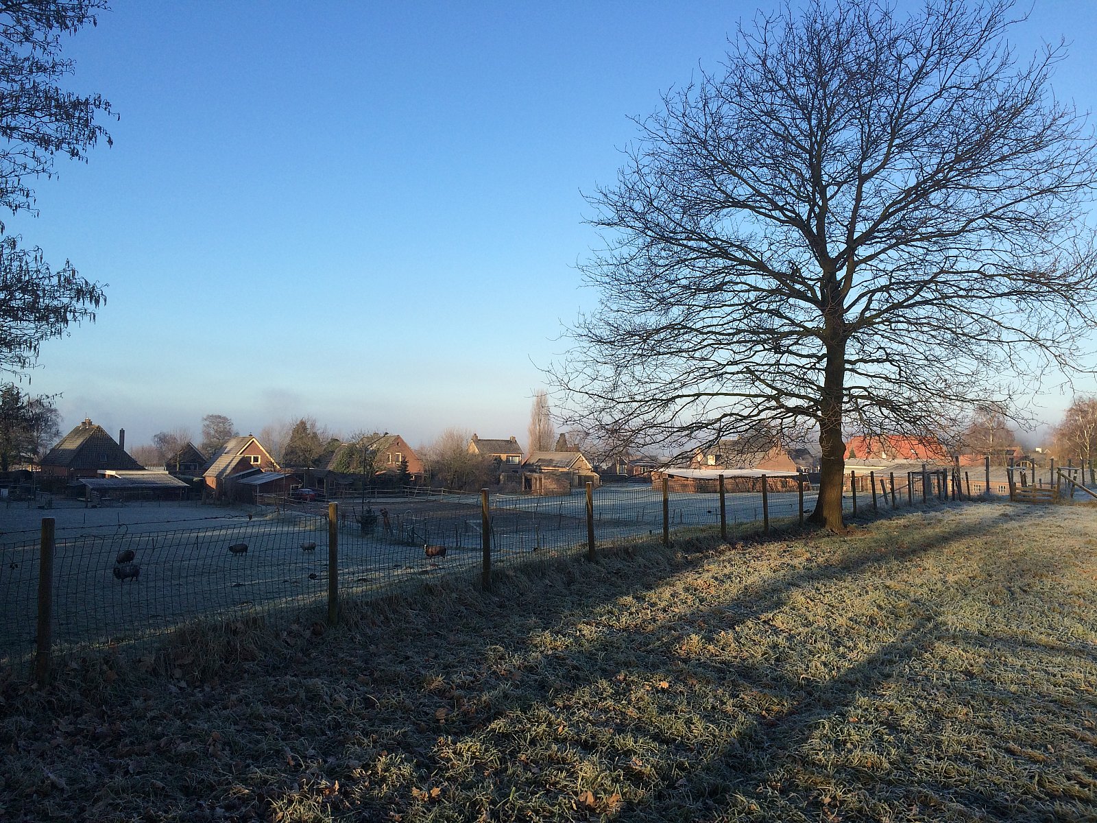 Winterlandschap