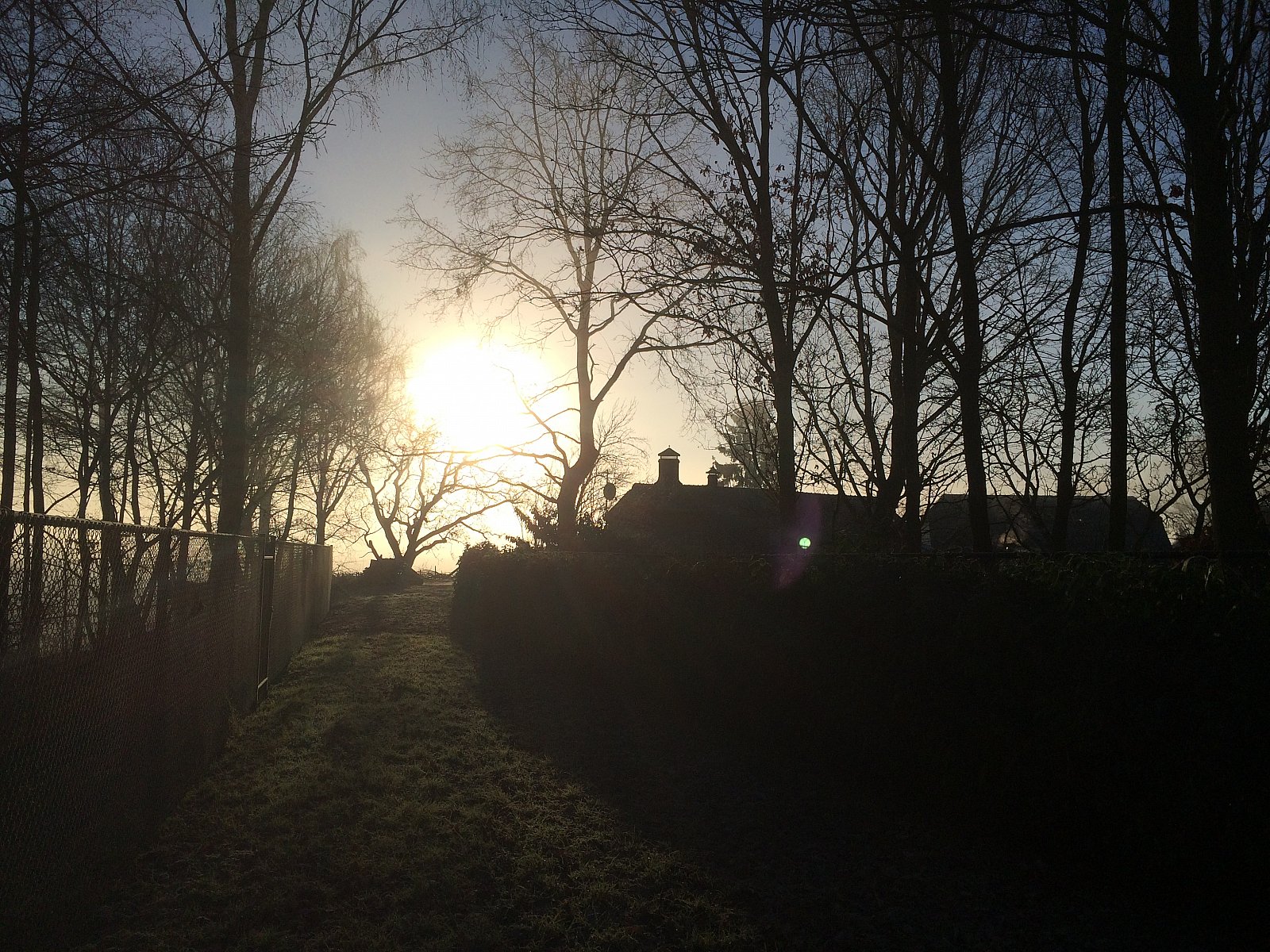 Winterlandschap
