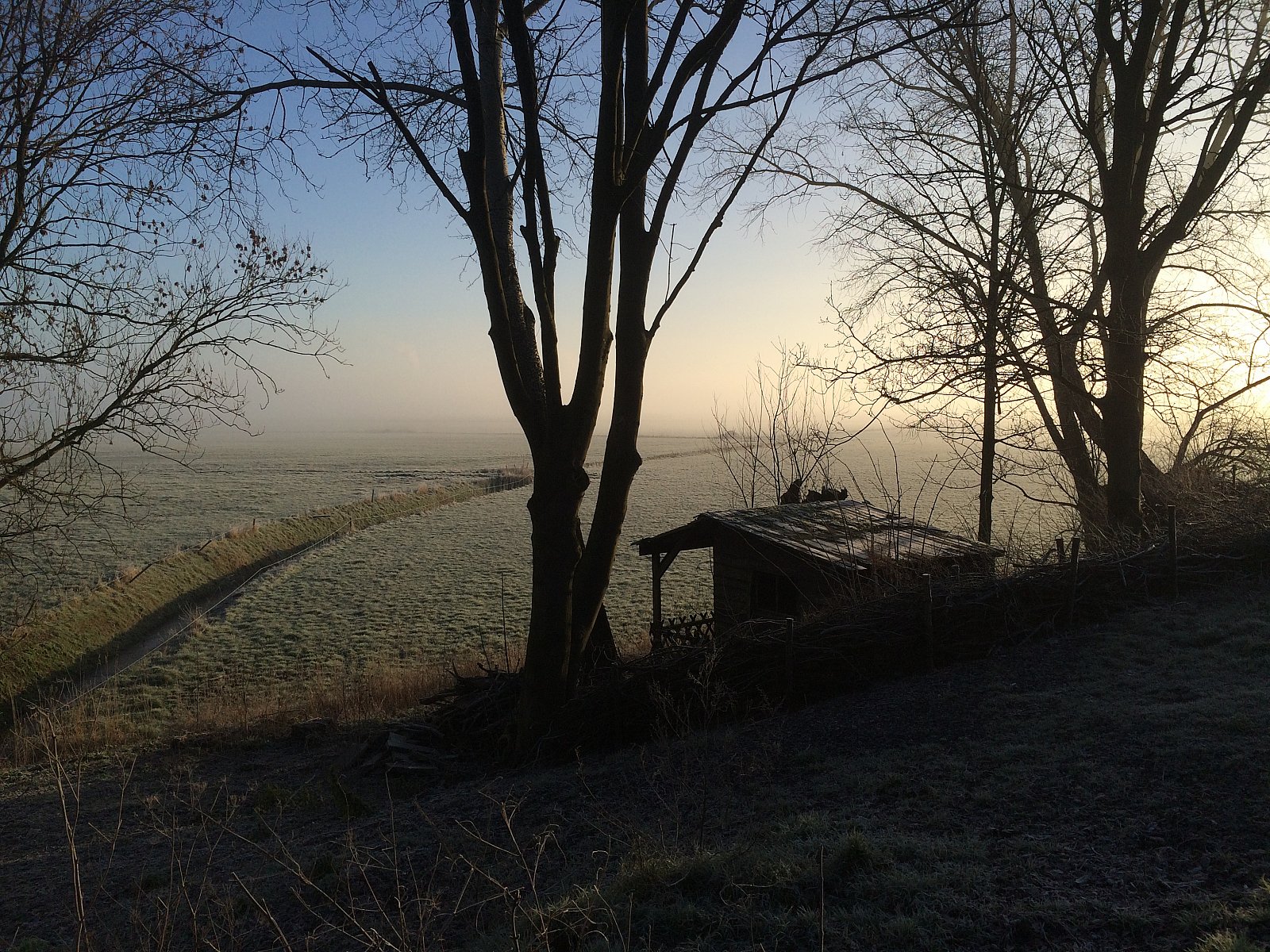 Winterlandschap