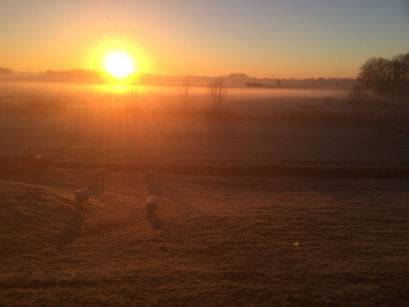 Winterlandschap