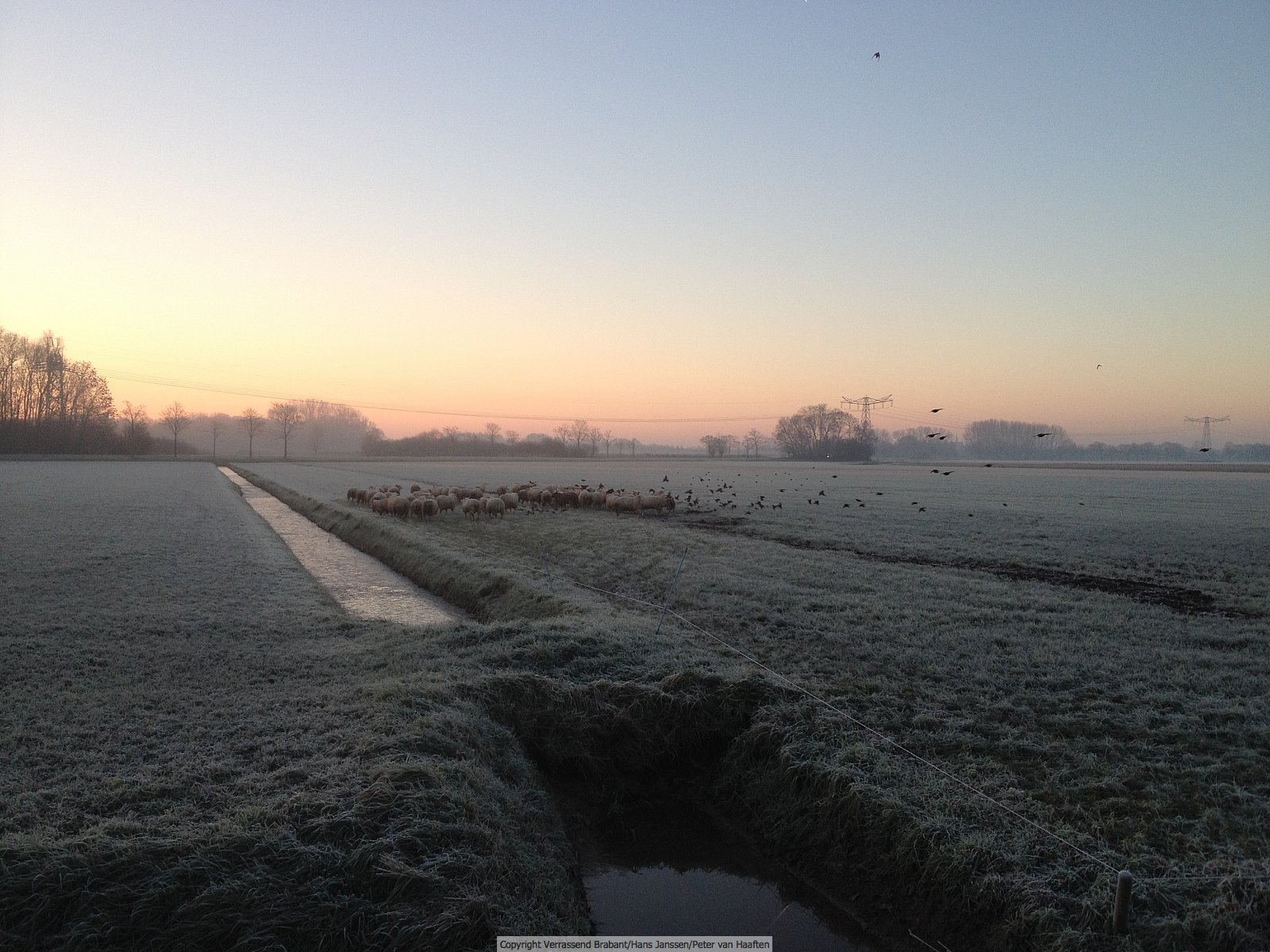 Verrassend Brabant