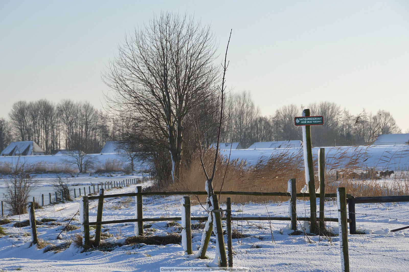 Verrassend Brabant