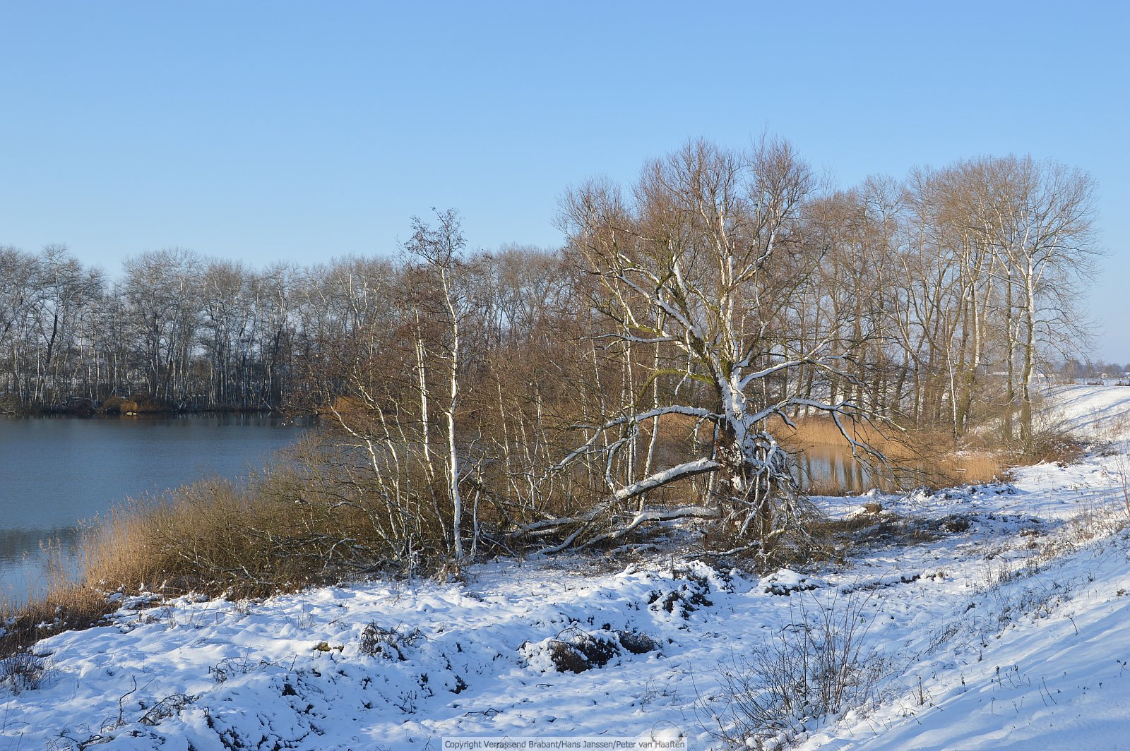 Verrassend Brabant