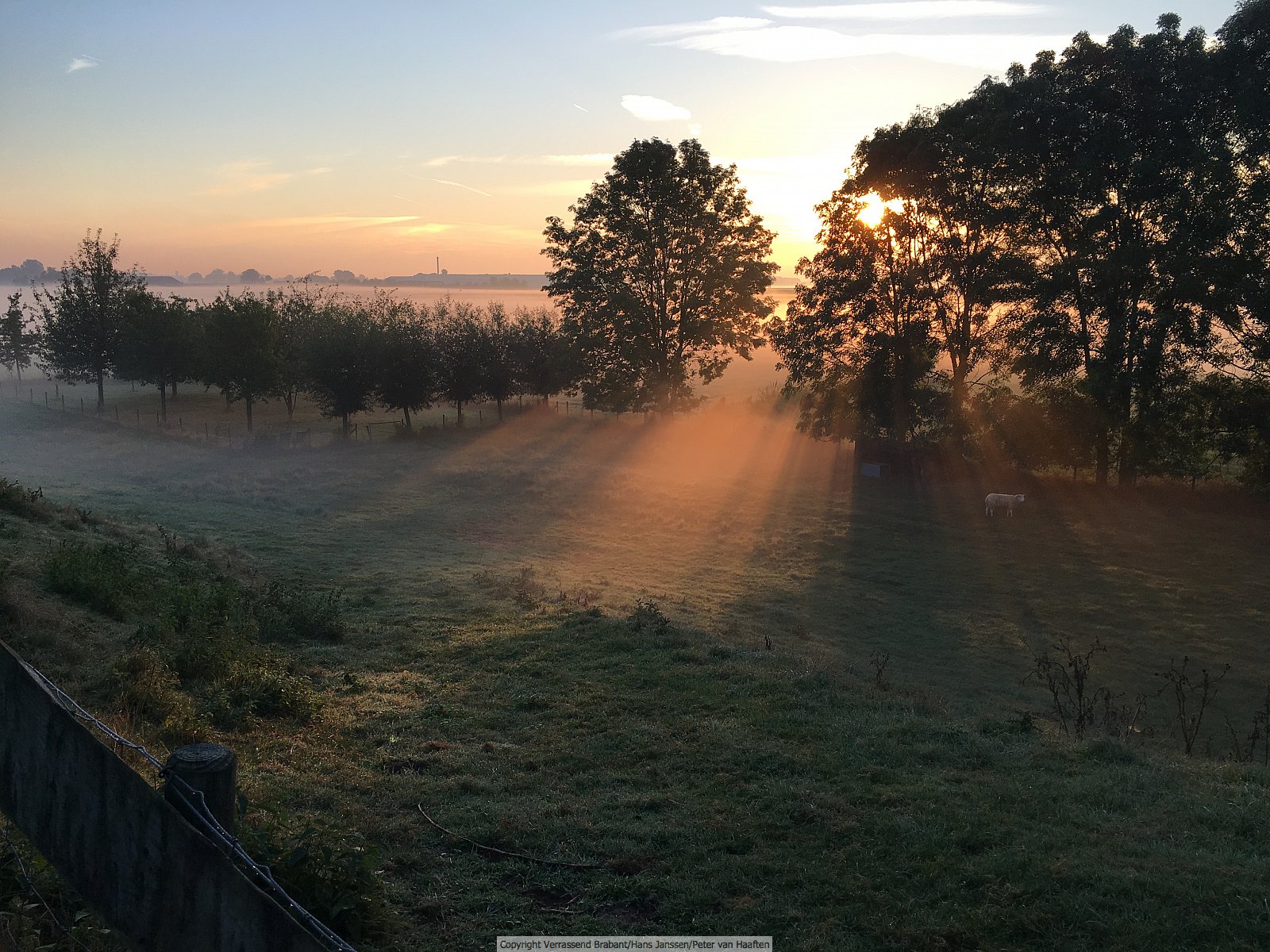 Verrassend Brabant